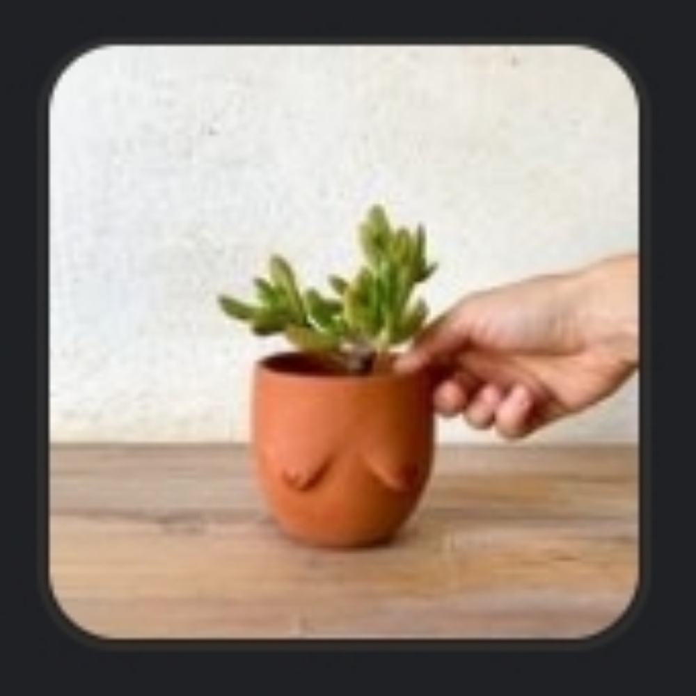 Rose Grown Roshti Planter Pot